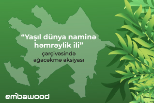 “Embawood” əməkdaşları “Yaşıl dünya naminə həmrəylik ili” çərçivəsində ağacəkmə aksiyası keçirib